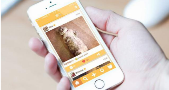 寵物APP市場(chǎng)為何沒有老大？